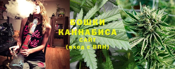apvp Аркадак